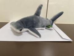 シュモクザメ(ワイルド リパブリック)