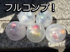 2025年最新】とろみ君 コンプの人気アイテム - メルカリ