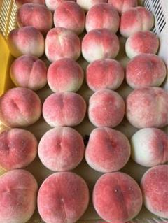 山梨県産　桃　朝採り直送（小さい硬い）のサムネイル