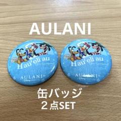 ディズニー　ハワイ アウラニ非売品　缶バッジ2点セット