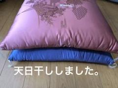 座布団2色セット