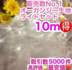 ライト付⭐️オーガンジー生地 10m分 結婚式 ウェルカムスペース チュール 布