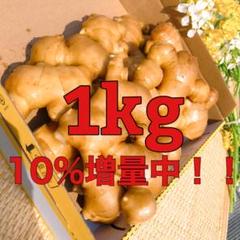 減農薬栽培 九州産生姜1kg 増量中