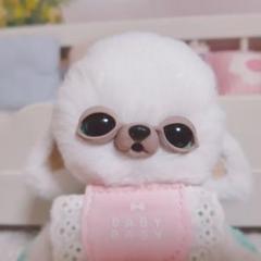 チワボボちゃん③ おしゃぶり付き アートドール ぬいぐるみ