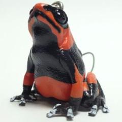 ♯Jpi13HZネイチャーテクニカラーヤドクガエル2ストラップ8種 ♯Jpi13HZネイチャーテクニカラーヤドクガエル2ストラップ8種