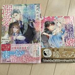 TL小説 2冊セット