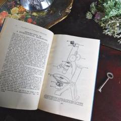 1927年にイギリスで出版された自然科学系の古書 アンティーク 1927年にイギリスで出版された自然科学系の古書 アンティーク