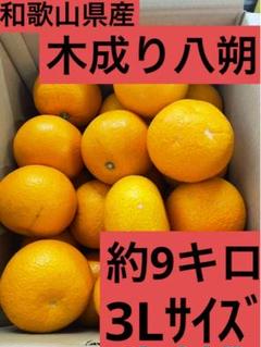 218【和歌山県産】木成り八朔　3Lサイズ約9kgのサムネイル
