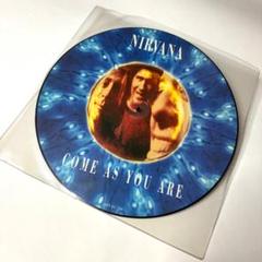 nirvana ニルヴァーナ　ピクチャーレコード 希少・LP】NIRVANA - NEVERMIND アナログピクチャーレコード