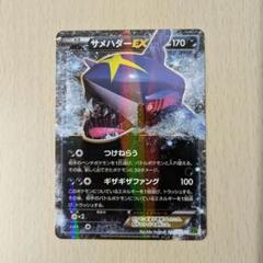 ウィンディ ホエルオー ライチュウ サメハダーex