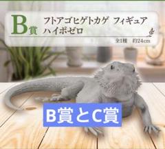 一番くじ 爬虫類＆両生類～Tiny Friends～vol.2 B賞とC賞