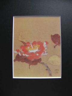 大野　俶嵩、椿赤花、希少な画集より、新品高級額装付、版上サイン入り 大野 俶嵩、椿赤花、希少な画集より、新品高級額装付、版上