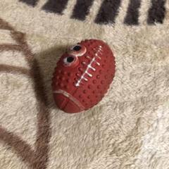 犬のおもちゃ