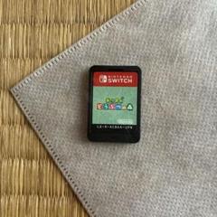 ✴︎11時時間以内発送✴︎美品 あつまれ どうぶつの森Switch