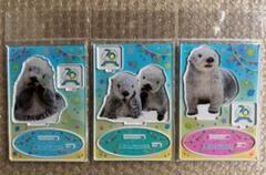 鳥羽水族館　70周年　記念•グッズ　アクスタ　メイキラ　３種　期間限定品　希少 鳥羽水族館 70周年 記念•グッズ アクスタ メイキラ 3種 期間