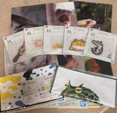 一番くじ 爬虫類＆両生類 vol.2 H賞 F賞　G賞　まとめ売り