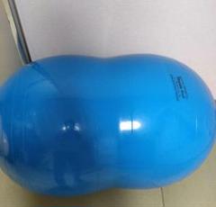 gymnic Physio Roll バランスボール 70cm gy88-13_02.jpg