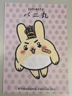 横浜バニラフィナンシェ　クリアファイル4種付 GkmzpzYbkAApvjv.jpg:large