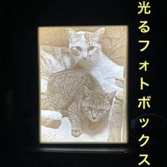 光る写真パネル ライト付き リトフォス 推し活 プレゼント 記念 ギフト
