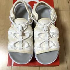 NIKE エアマックスココ【22cm】