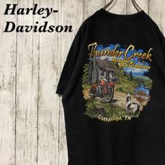 【希少】ハーレーダビッドソン 半袖 Tシャツ 両面プリント ブラック L バイク