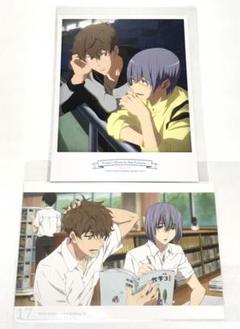 Free!　桐嶋　夏也　ポストカード　クリアシート　ステッカー切り抜き 桐嶋夏也 | STORES