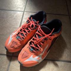 Mizunoスニーカー サイズ24.5cm