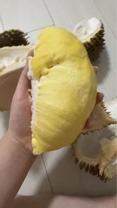 タイ産新鮮ドリアン一箱　金枕約9-10kg タイ産新鮮ドリアン一箱 金枕約9-10kg （【楽天市場】タイ産