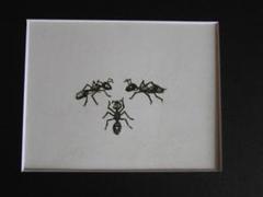 山下清、【人形と花火】、希少な額装用画集より、美品、日本人画家