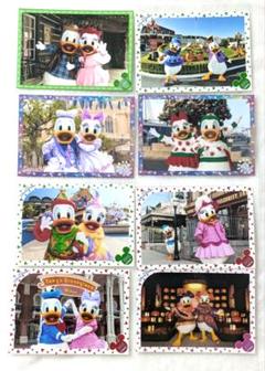 ディズニー スペシャルフォト ドナルド デイジー 写真 スペフォ ドナデジ