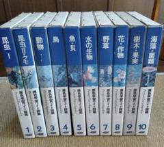 原色学習ワイド図鑑全20巻＋続巻4巻セット 原色学習ワイド図鑑全20巻＋続巻4巻セットの通販 by green+