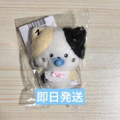 2025年最新】zerobaseone リッキー ぬいぐるみの人気アイテム