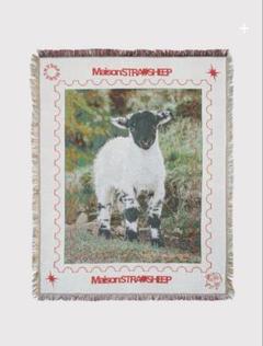 ラグ・カーペット MAISON STRAYSHEEP STRAYSHEEP RUG GREEN STRAYSHEEP RUG GREEN
