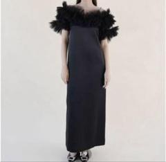 2025年最新】Volume tulle dress ackaの人気アイテム - メルカリ