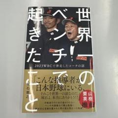 ヤクルトスワローズ 城石憲之サイン入りスパイク ヤクルトスワローズ 城石憲之サイン入りスパイク 野球