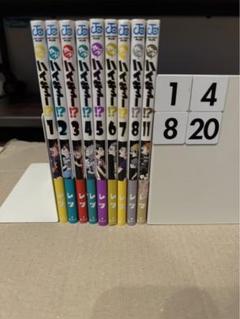 3連休セール⭐︎【豪華セット】ハイキュー!! 漫画全巻関連本22冊付き