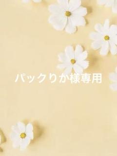 ◾️パックりか様専用◾️3点 上向きスカラップ ヌビバッグ