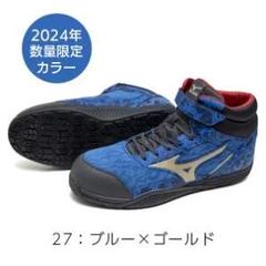 2025年最新】ミズノ 安全靴 27の人気アイテム - メルカリ