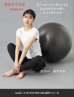 新品タグ付きチャコット【ノーソーイングニット】コンパクトシャギーニッTシャツ