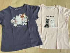 ユニクロUT Paul&joe 猫Tシャツ 2枚セット
