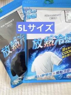 放熱冷感 半袖Tシャツ Lサイズ ２枚 涼を制するCO O Lな着心地