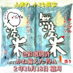 コシヒカリ 新米、特A。 玄米10Kg「無洗米に精米します」超希少
