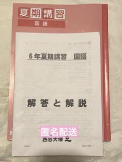 四谷大塚 6年予習シリーズ夏期講習/国算理社/2021年度版　状態おおむね良 2025年最新】6年 夏期講習 四谷大塚の人気アイテム - メルカリ