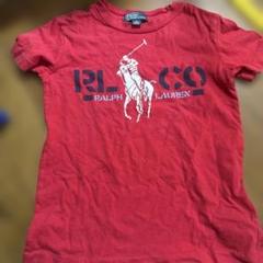 Polo by Ralph Lauren レッド Tシャツ S