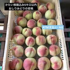 若桃加工用２５キロ 若桃加工用 箱込み5キロ以内 - メルカリ