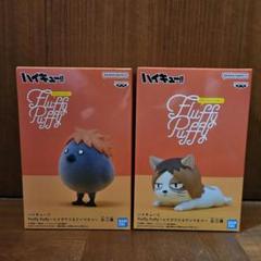 ハイキュー!! Fluffy Puffy～ヒナガラス＆ケンマネコ～│株式