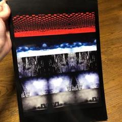 ガゼットLIVEパンフレット the GazettE ガゼット ライブ パンフレット 写真集 本 ブック