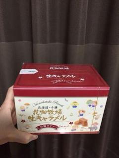 未開封!花畑牧場生キャラメル 常温タイプ!!