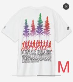 stussy ステューシー × ナイキ ホワイト ファー tシャツ t 白 M