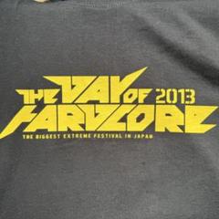 THE DAY OF HARDCORE 2013 Tシャツ【Ｌ】